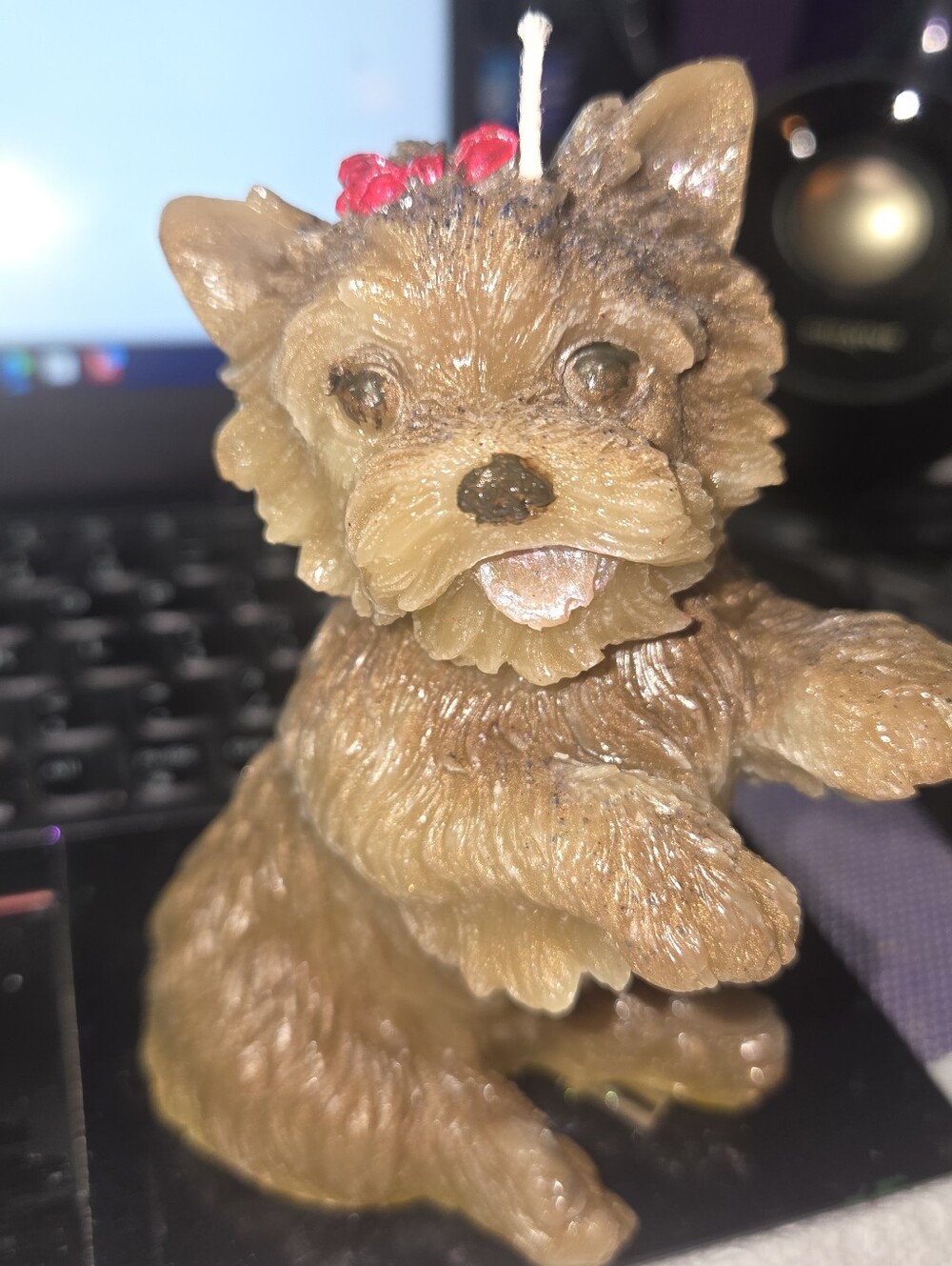 Adorable Yorkshire Terrier Puppy Candle